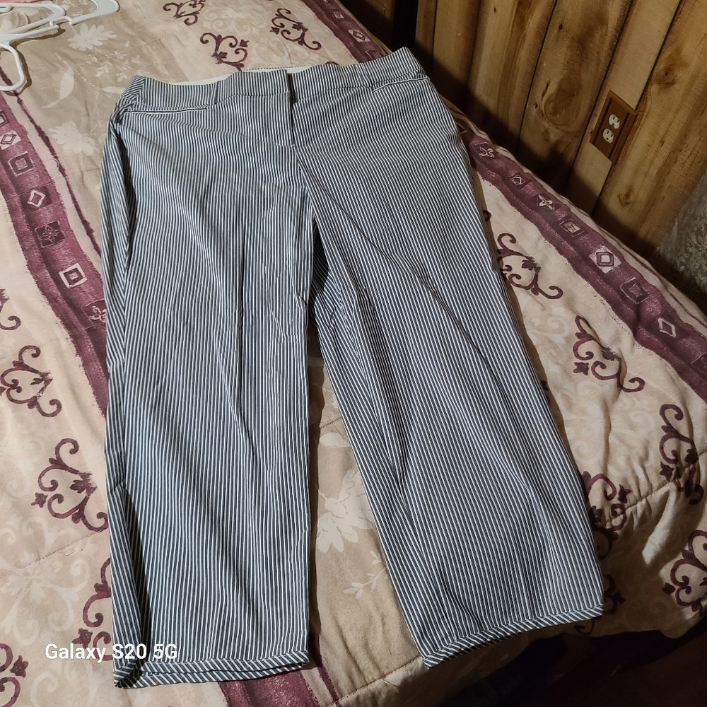 Lane bryant Capris